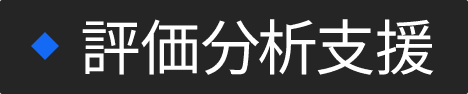 評価分析支援